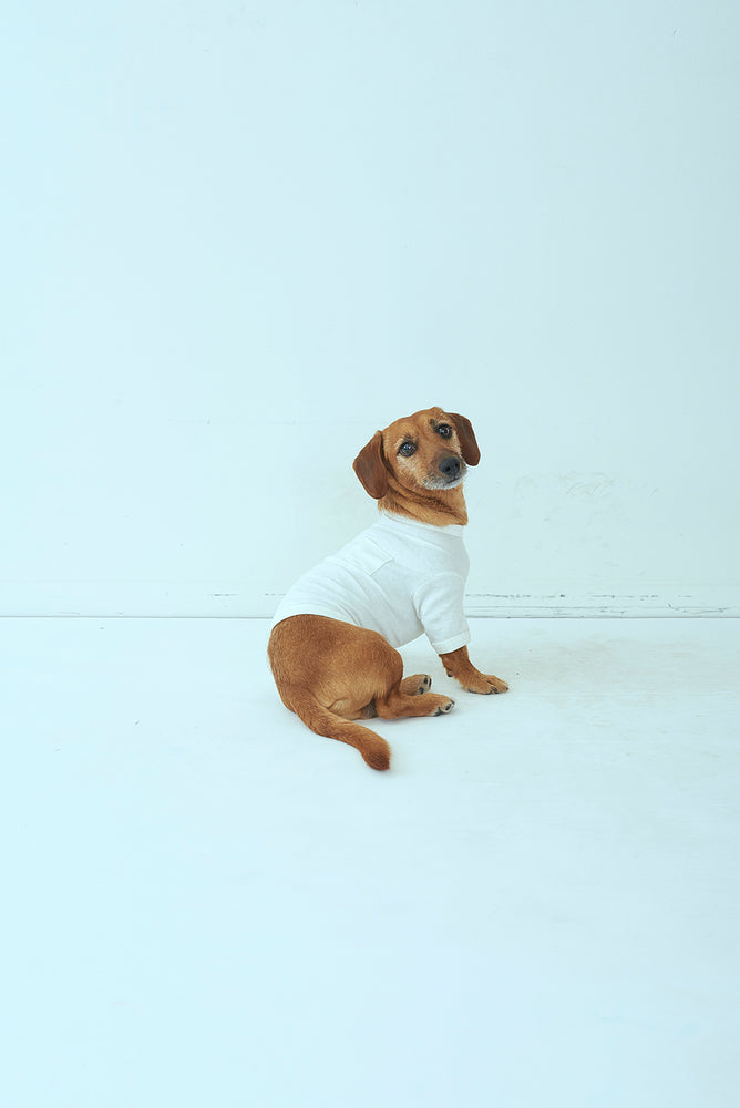 SEA x S for DOGS VINTAGE 吊り天竺クルーネックポケットTEE