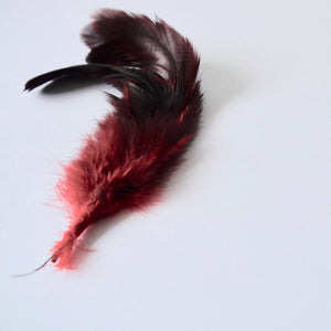 Vintage Red Tones&Green Feather corsage
